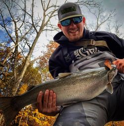 Rainbow Trout Fish Pennsylvania